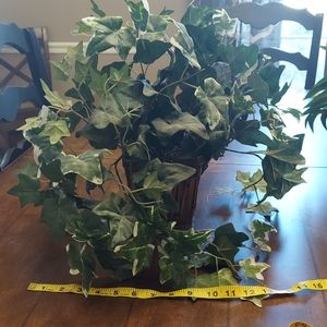 Faux ivy plant